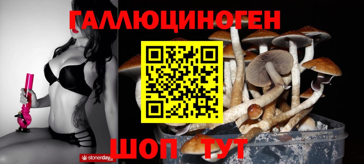 Галлюциногенные грибы Magic Shrooms  Вход с VPN  Кострома 